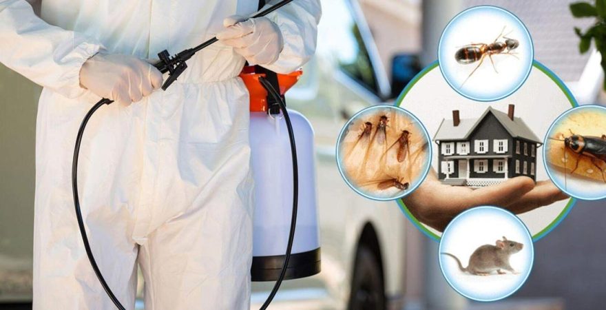 Cizre Böcek İlaçlama