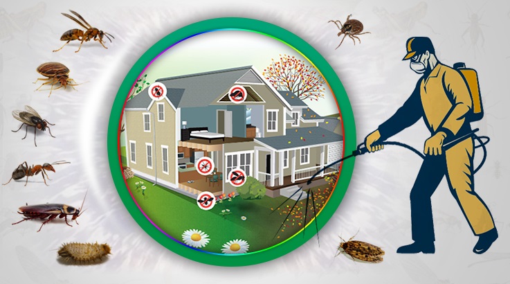 Cizre Böcek İlaçlama