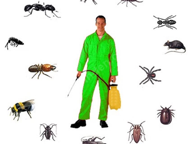 Cizre Böcek İlaçlama